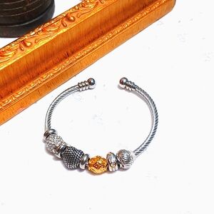 HSN Emma Skye 6 charm stainless steel bracelet